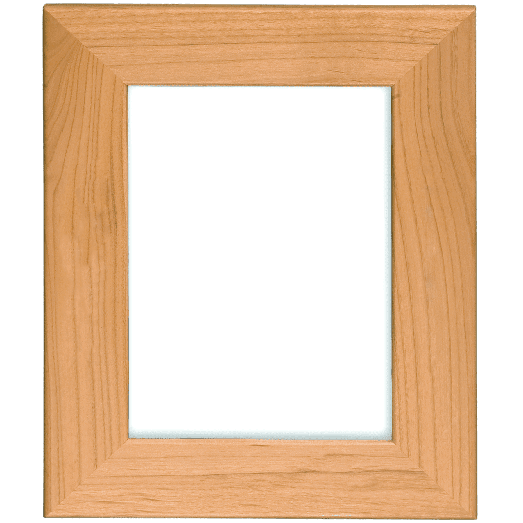 Tigercats Picture Frame